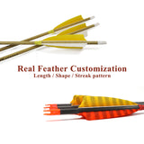 Customizable Pure/Mixed Carbon Arrows 300-800 Spine Shafts with Feather and Field Tip Shooting Practice