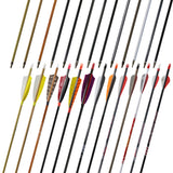 Customizable Pure/Mixed Carbon Arrows 300-800 Spine Shafts with Feather and Field Tip Shooting Practice